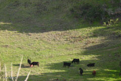 6500 Santa Rosa Road