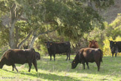 6500 Santa Rosa Road