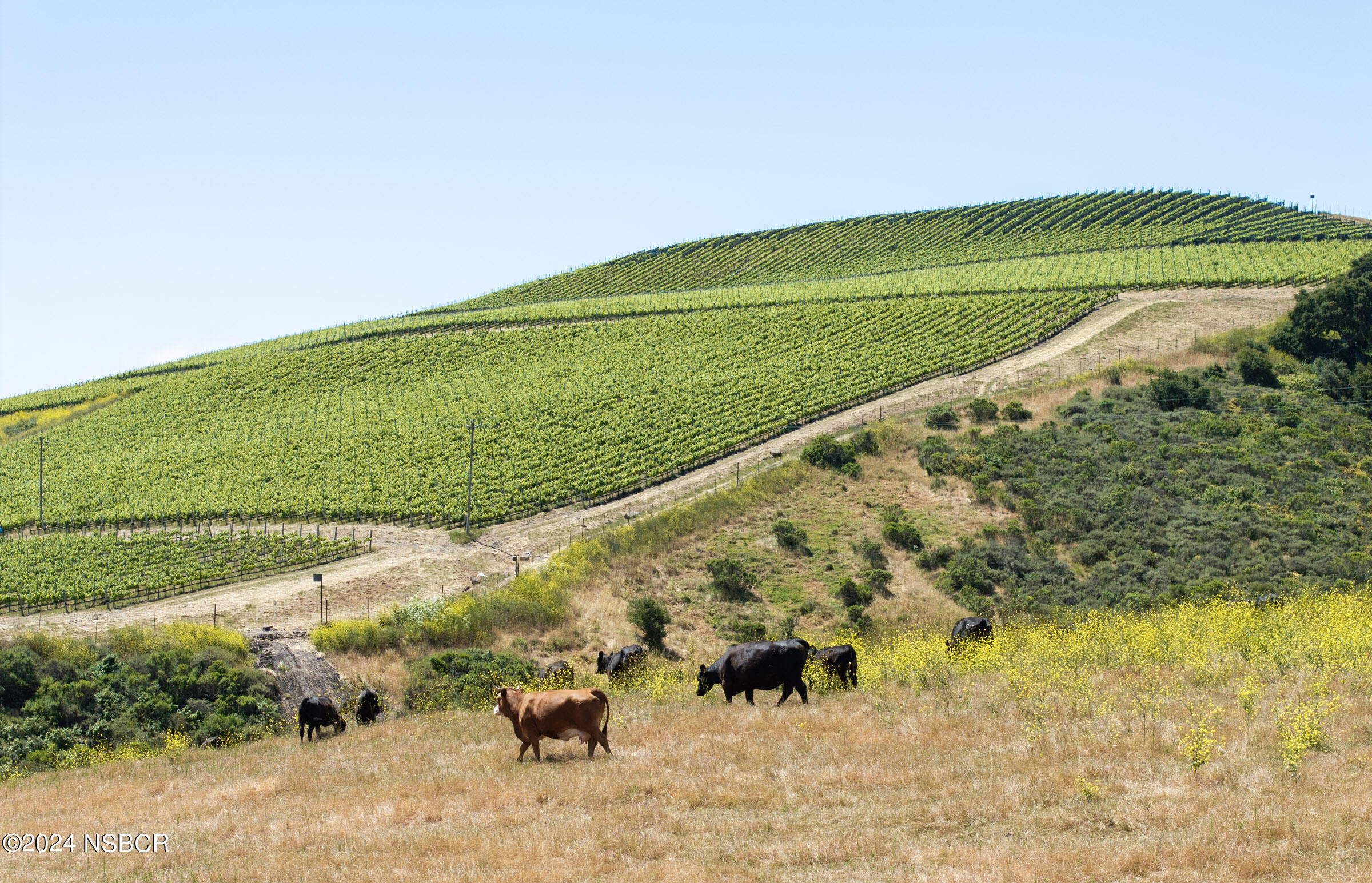 6500 Santa Rosa Road