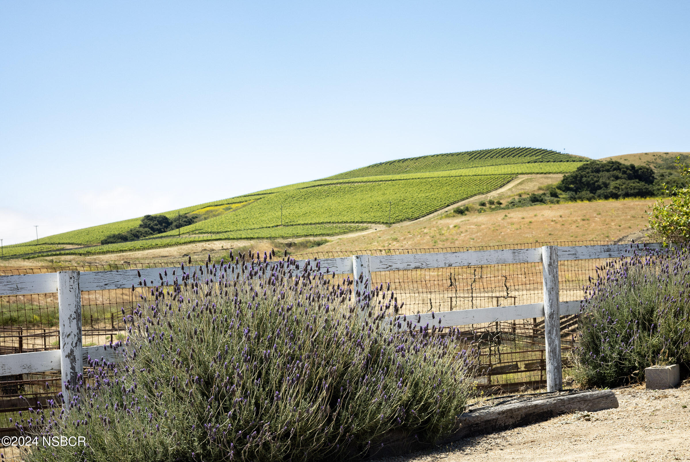 6500 Santa Rosa Road