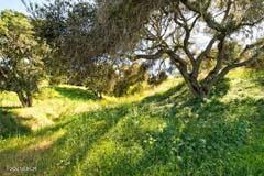 6500 Santa Rosa Road