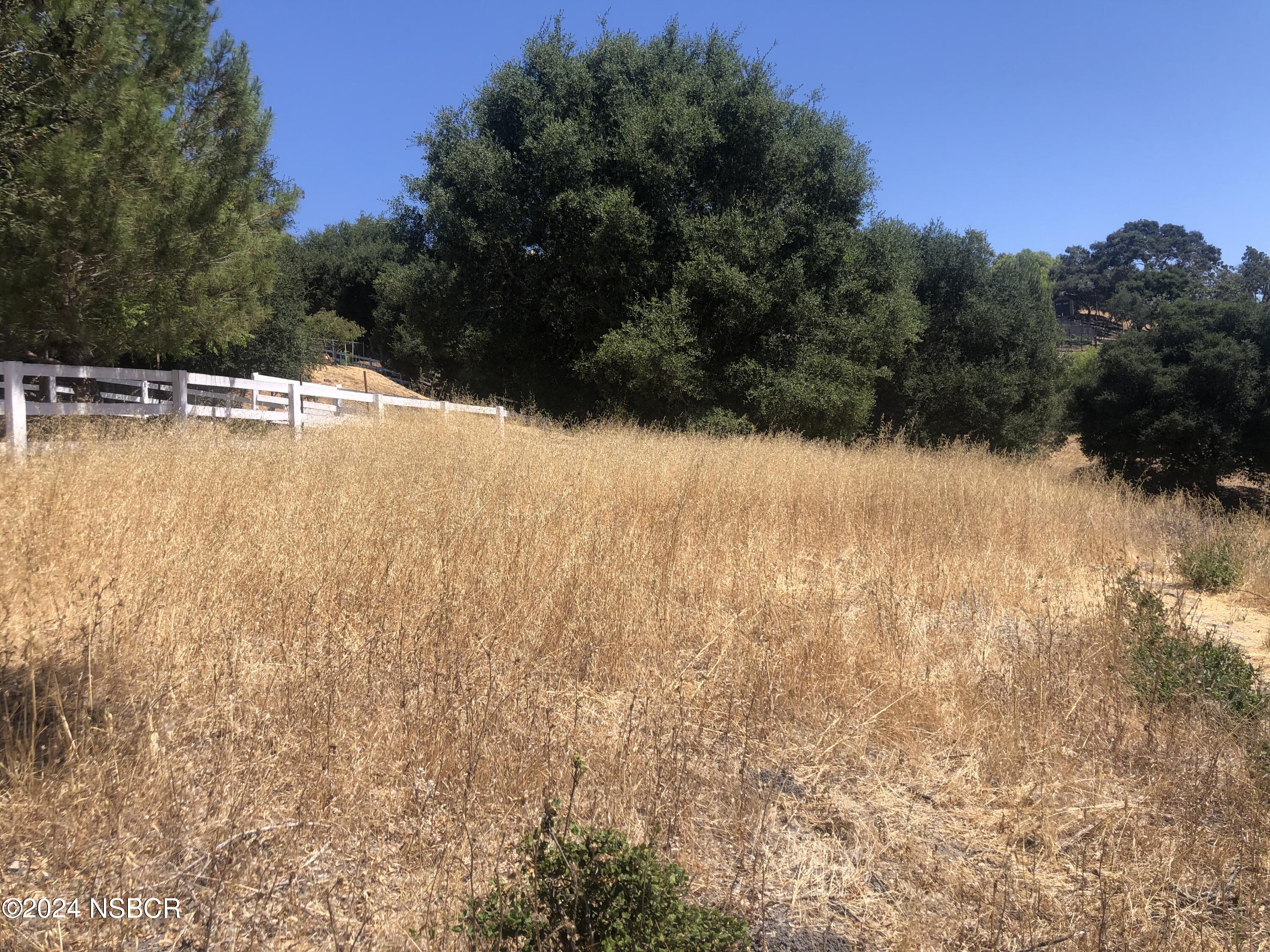 781 Fredensborg Canyon Road