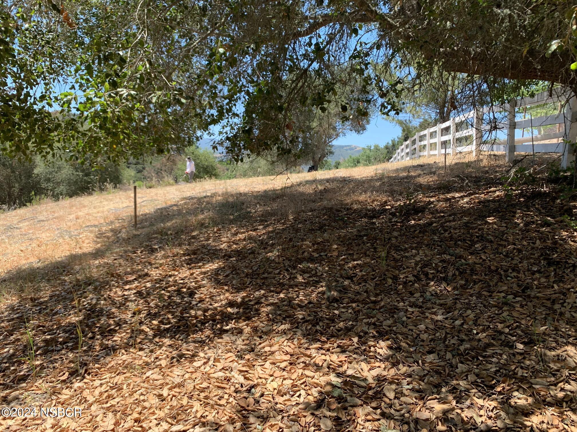 781 Fredensborg Canyon Road