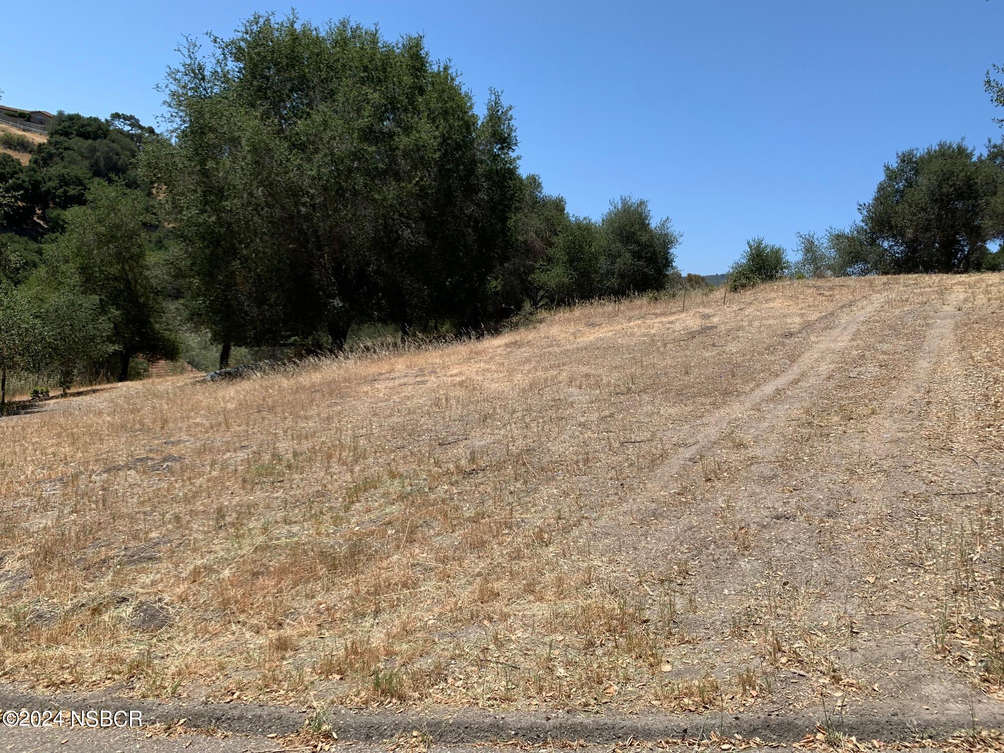 781 Fredensborg Canyon Road