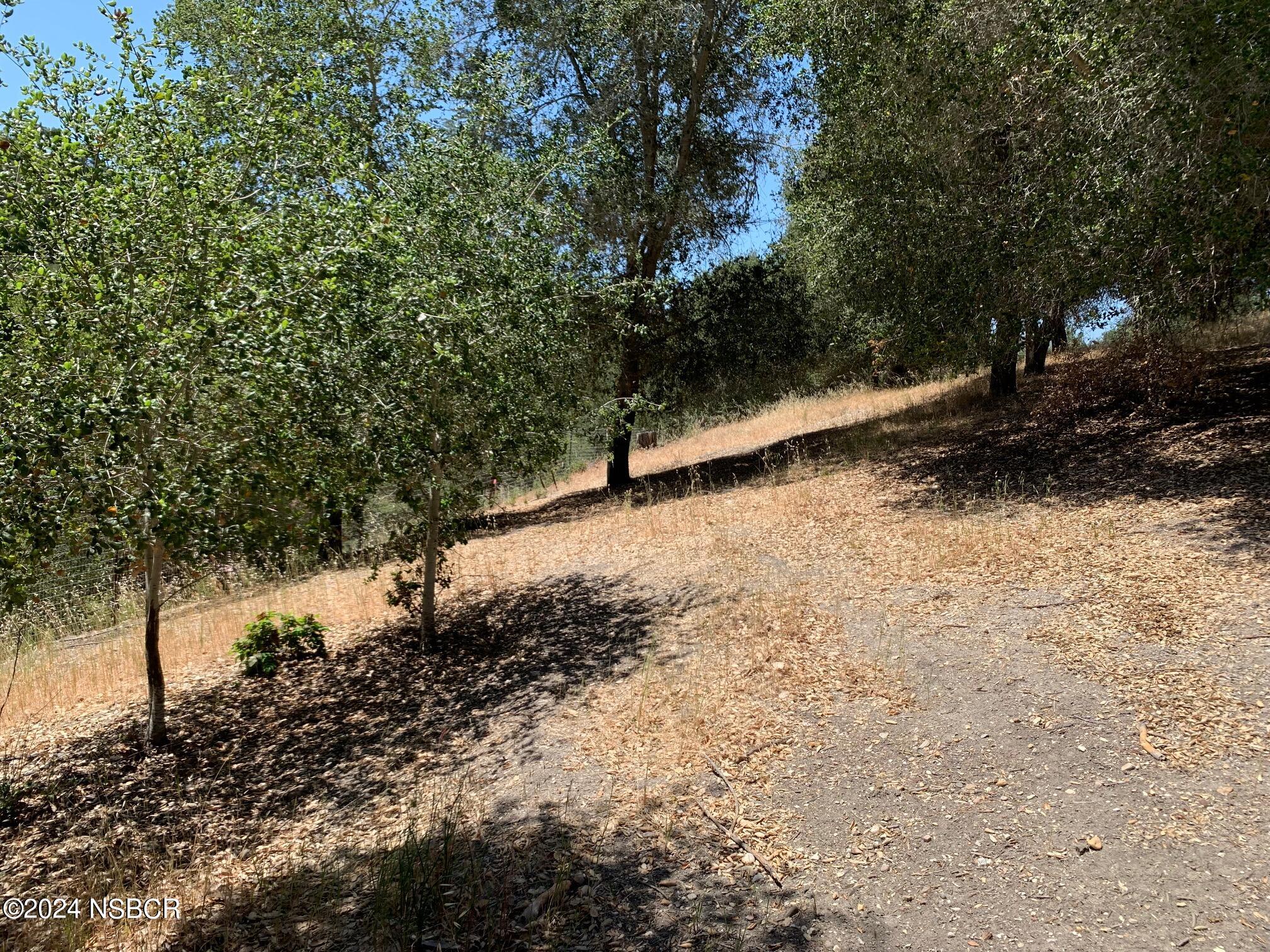 781 Fredensborg Canyon Road