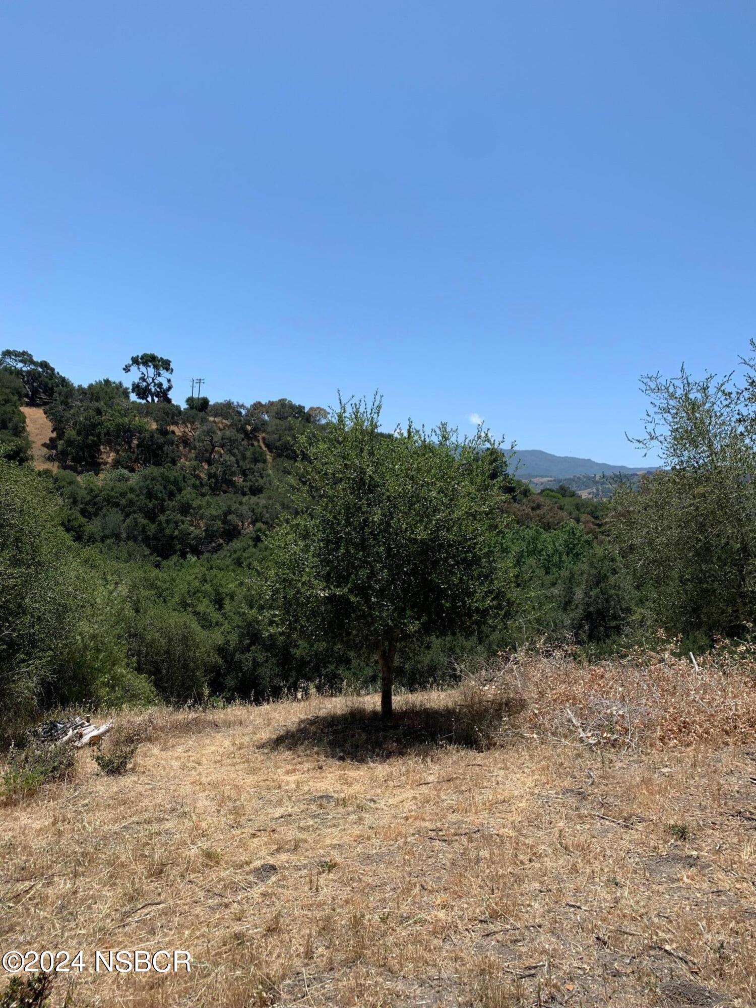 781 Fredensborg Canyon Road