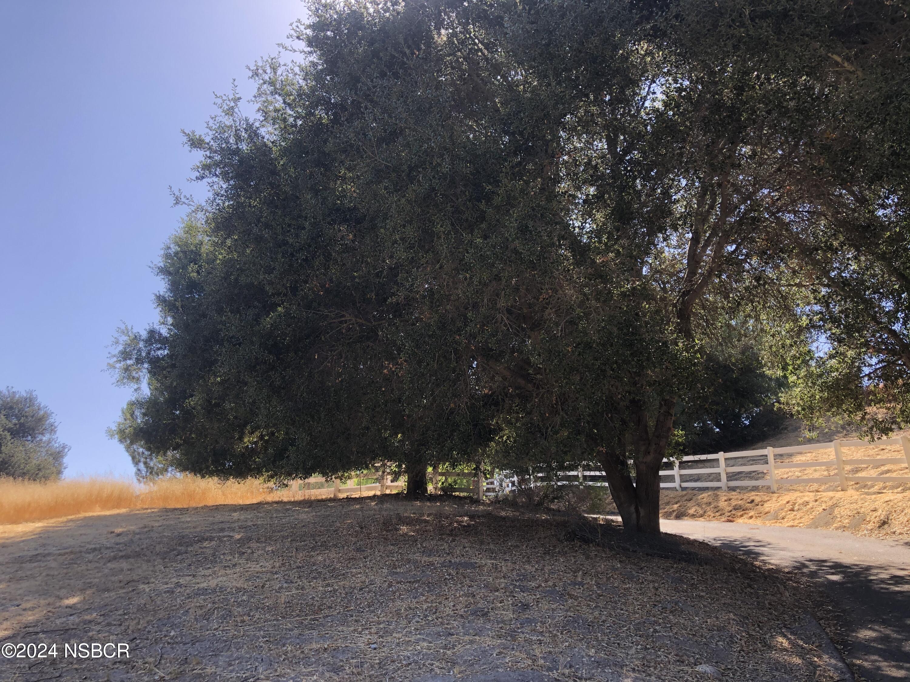 781 Fredensborg Canyon Road