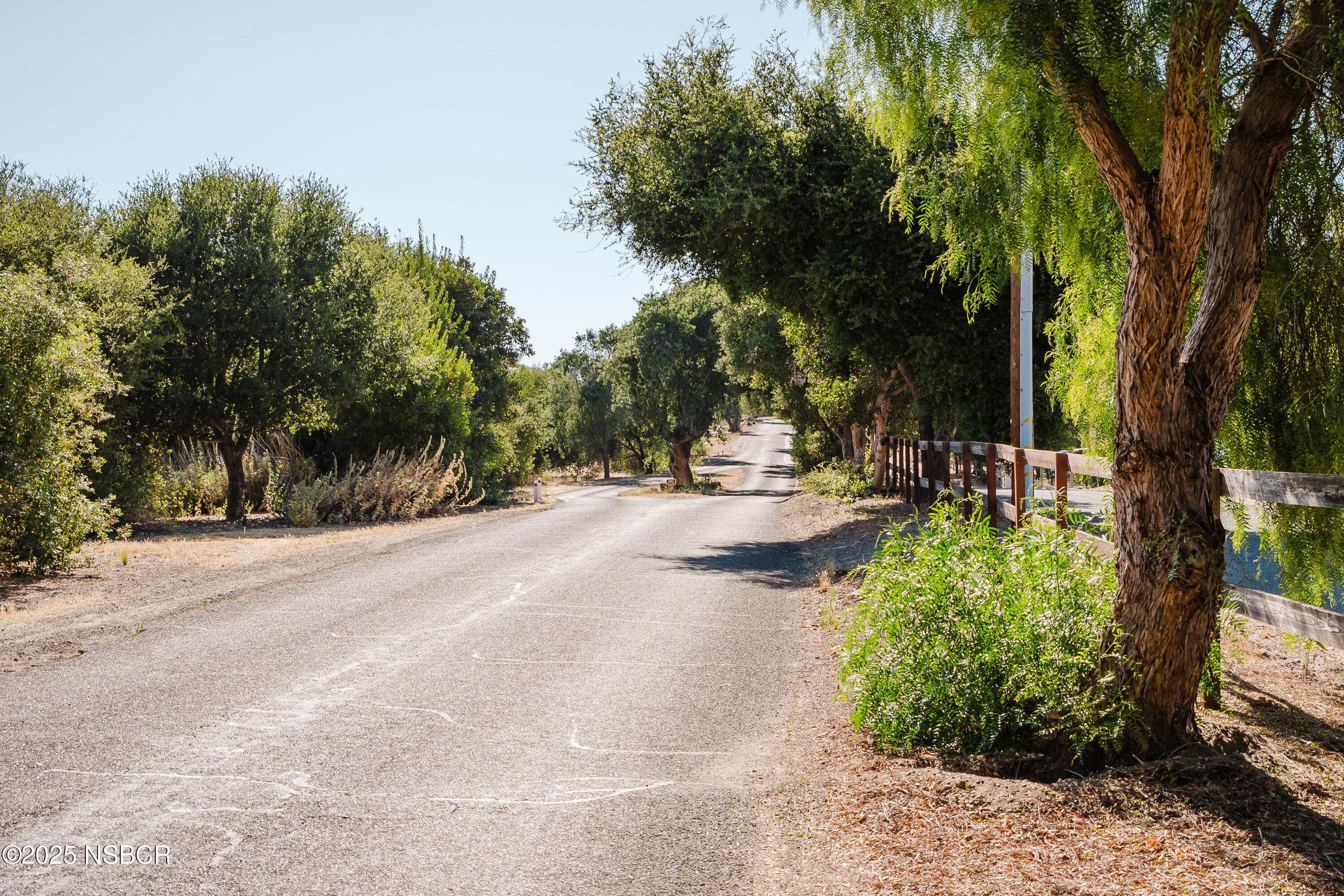 40 Bobcat Springs Road