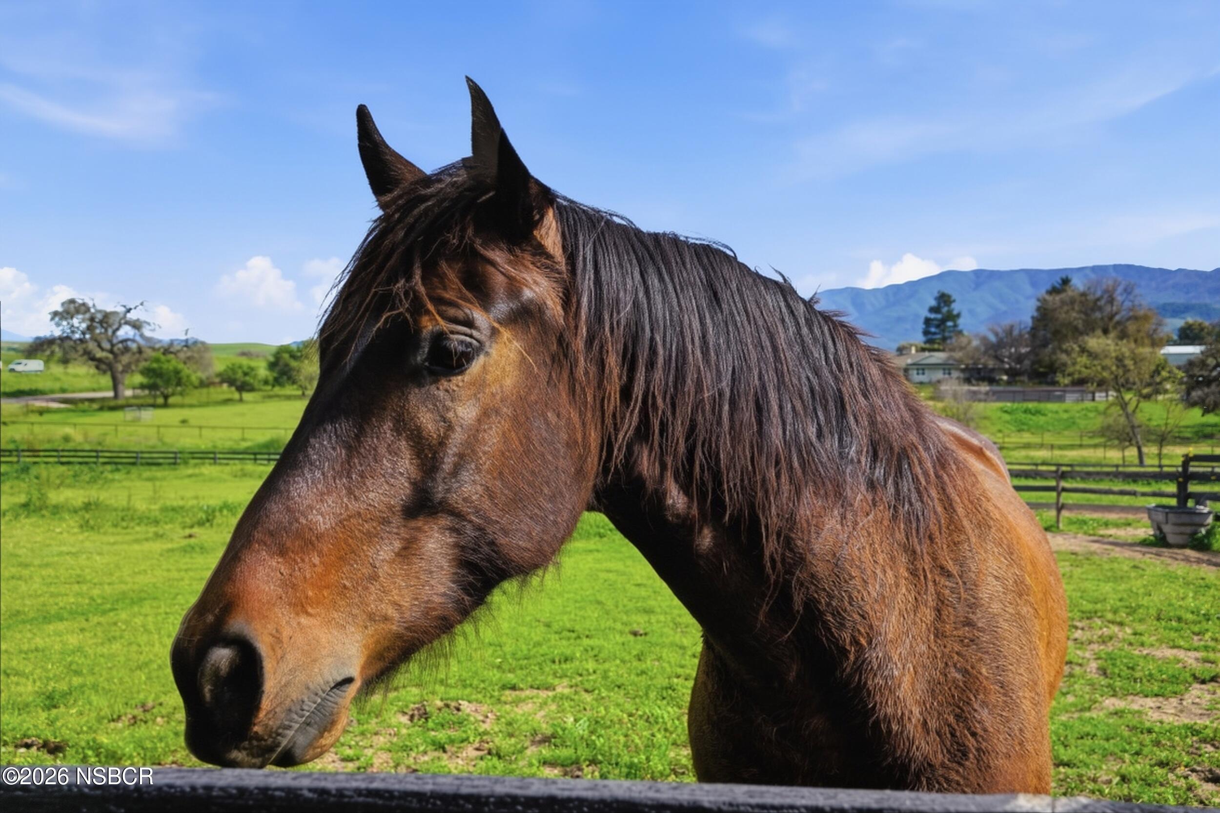 1510 Meadowvale Road