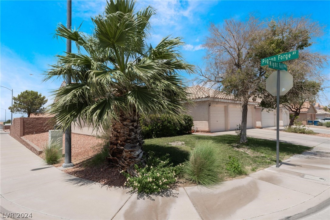 202 Night Fall Terrace