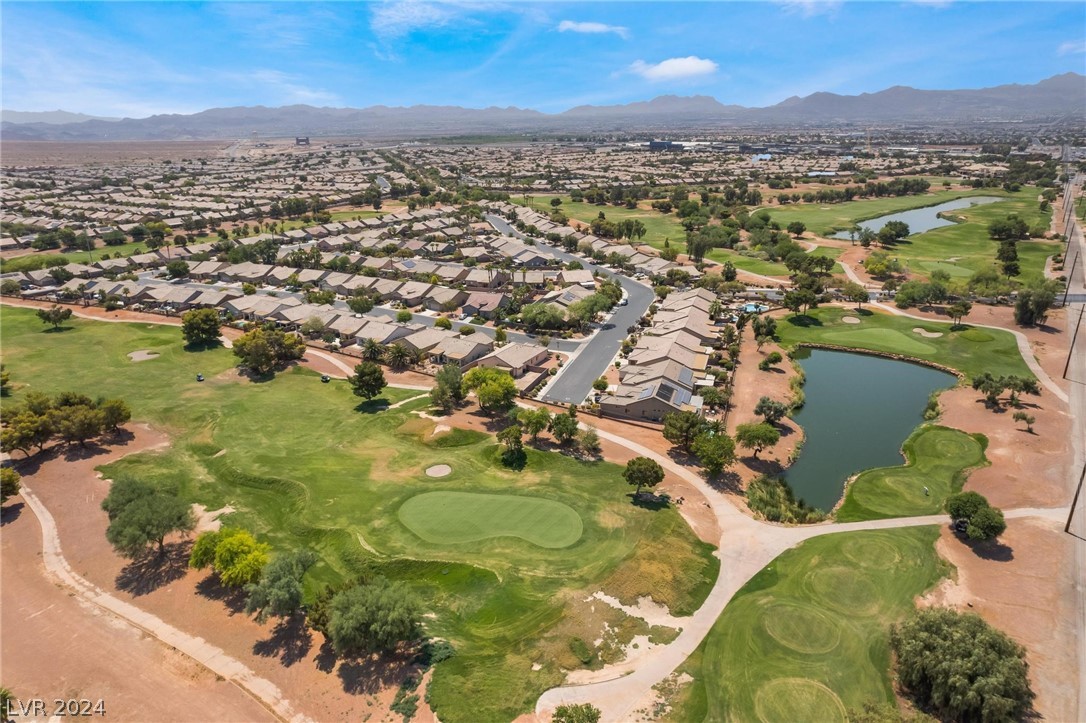 3364 Blue Ribbon Downs Street