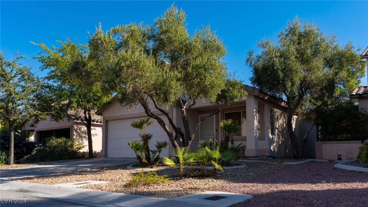 4516 Timaru Drive