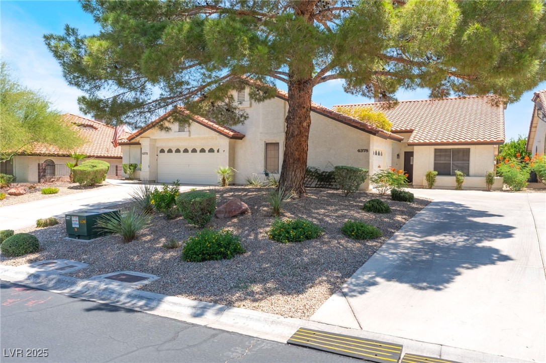 4378 Cherrystone Court