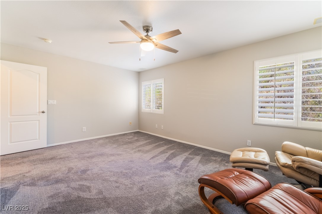 8424 Willowleaf Court