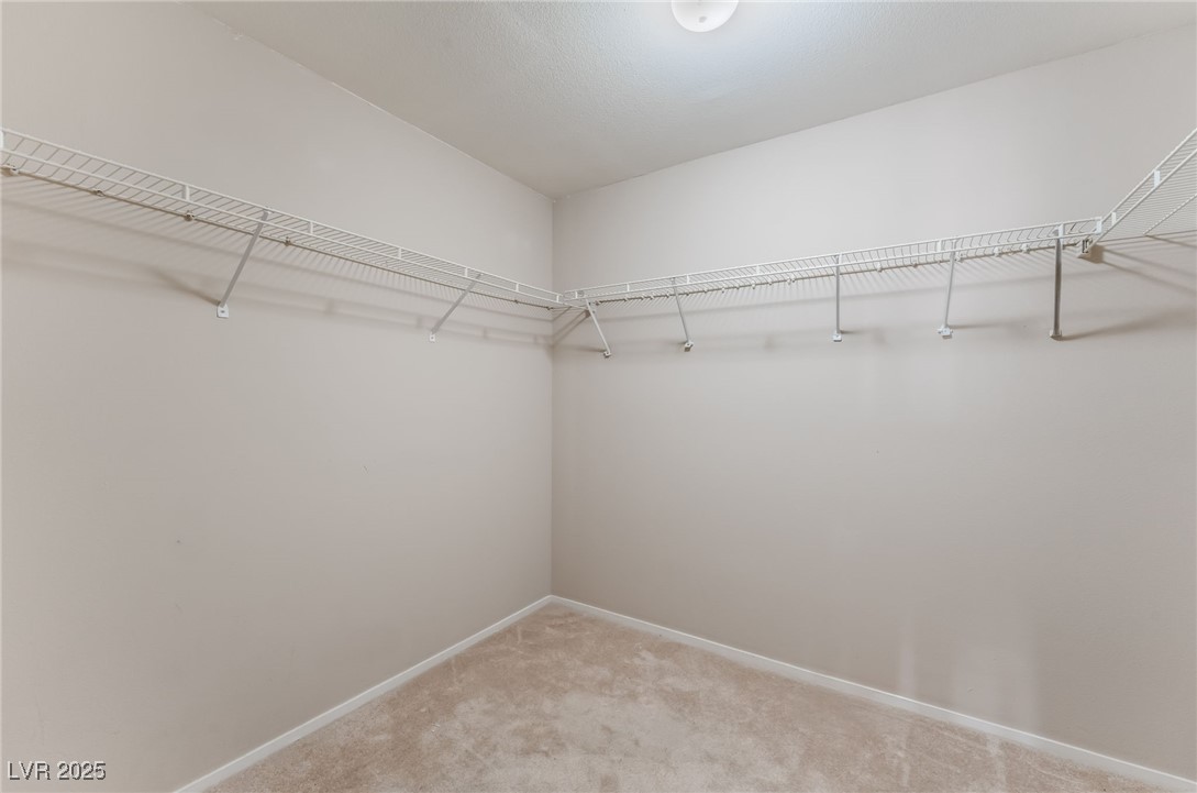 7908 Constantinople Avenue