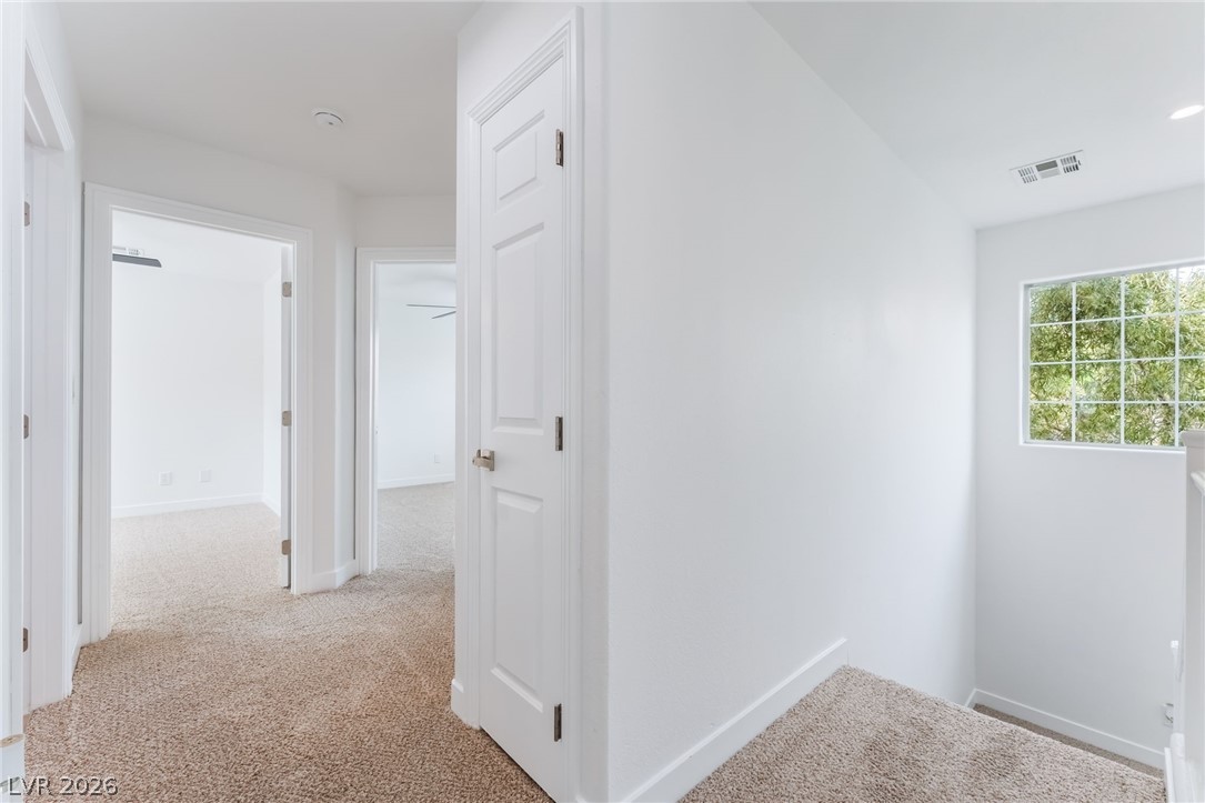 9025 Mossy Hollow Avenue