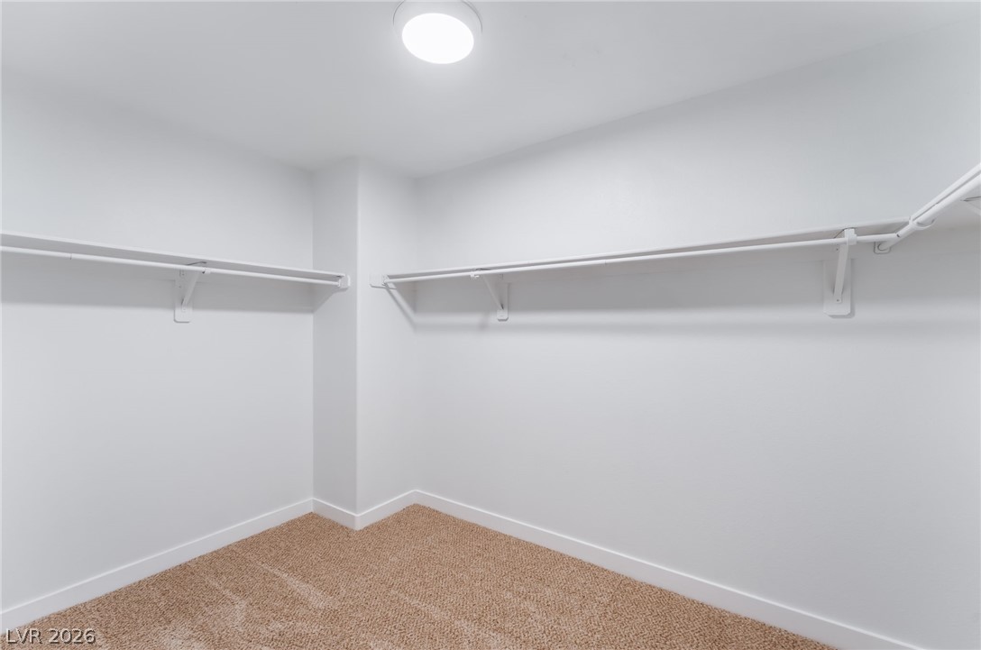 9025 Mossy Hollow Avenue