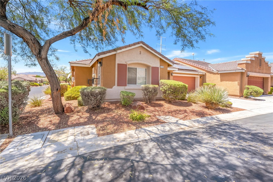 5346 Cholla Cactus Avenue