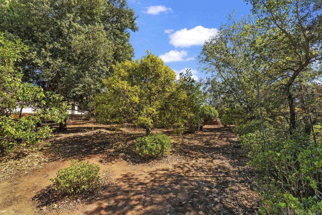 12830 Avenida La Valencia