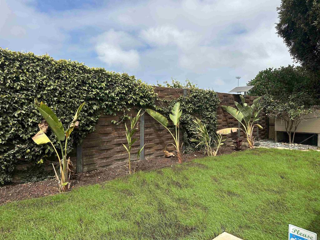 3435 Ann Drive