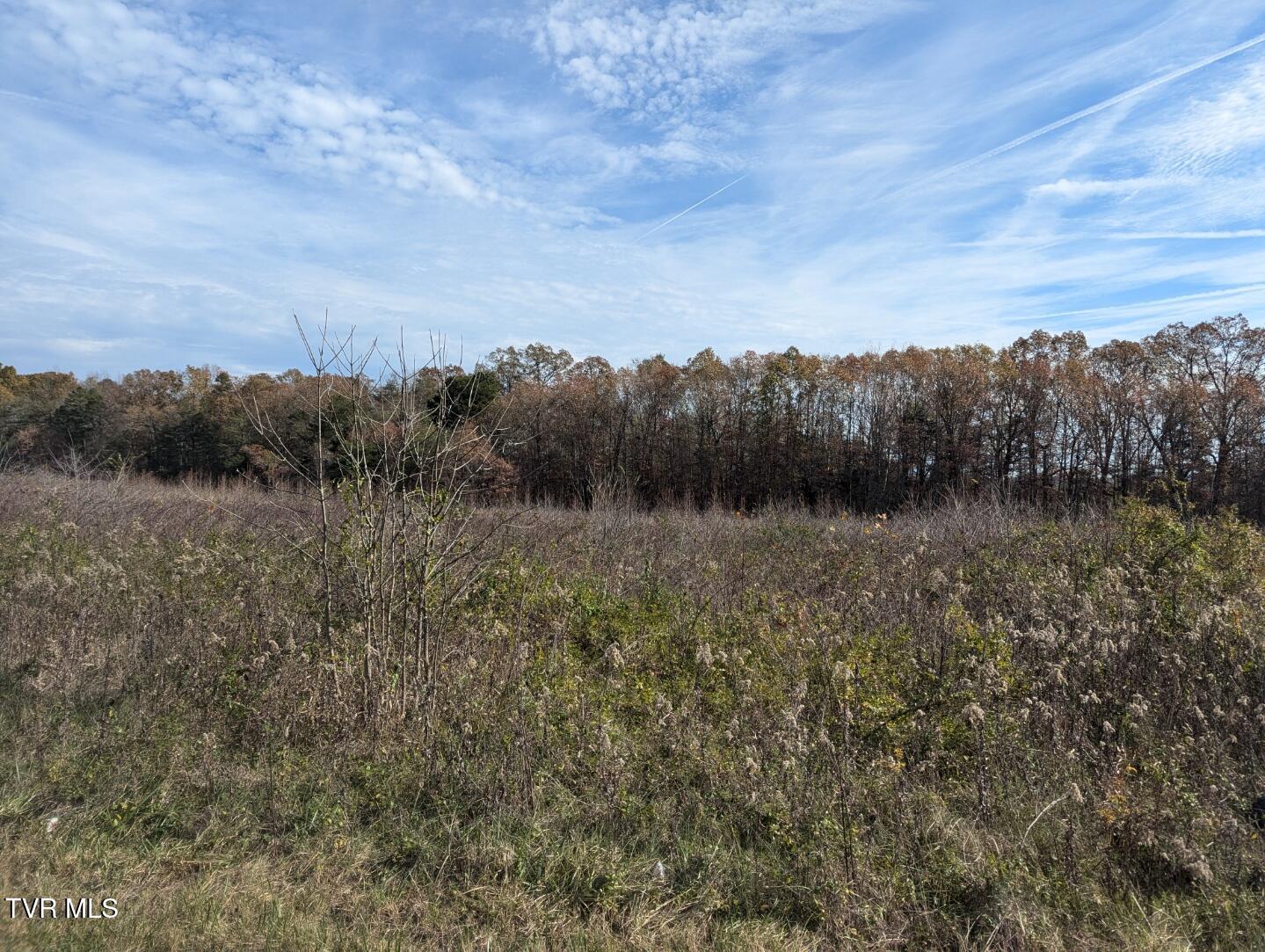 18.61 Acre North Off Wesley Chapel Road