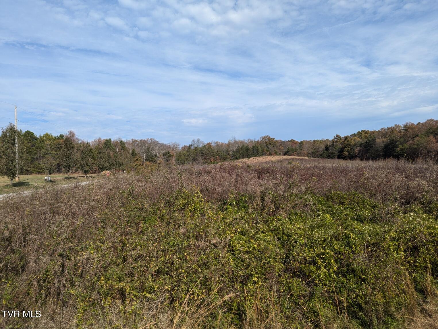 18.61 Acre North Off Wesley Chapel Road