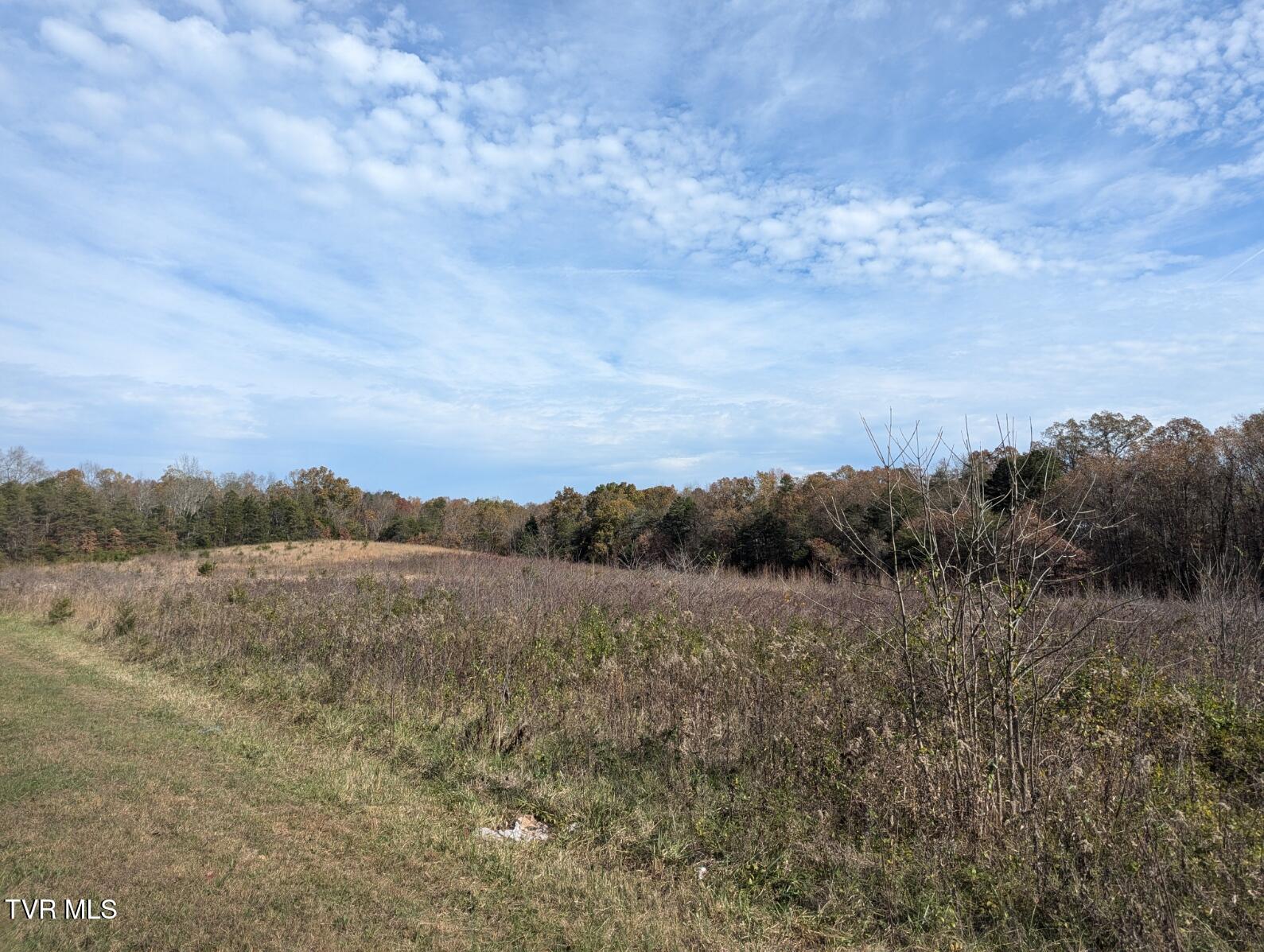 18.61 Acre North Off Wesley Chapel Road