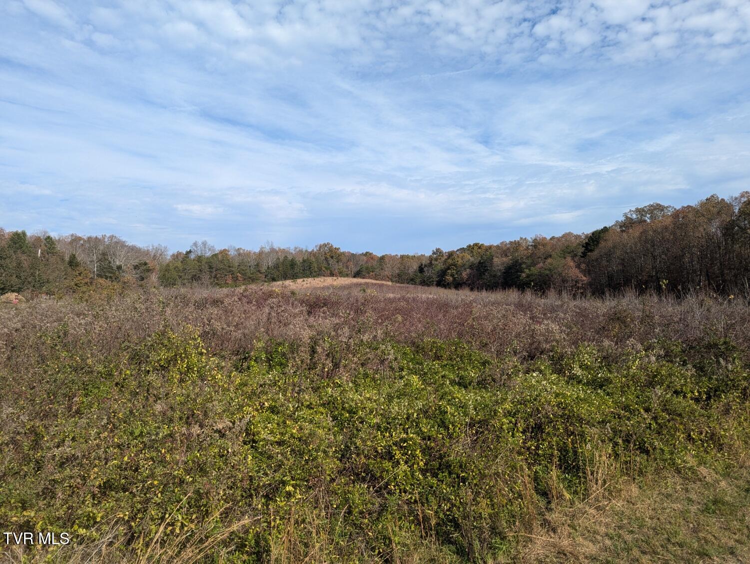 18.61 Acre North Off Wesley Chapel Road