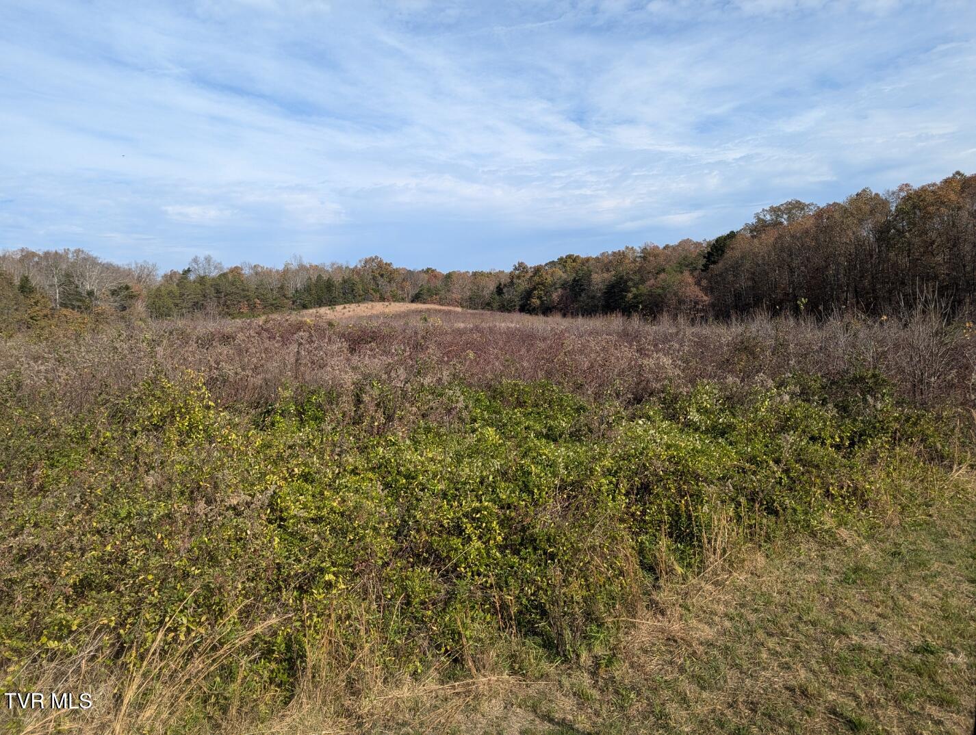 18.61 Acre North Off Wesley Chapel Road