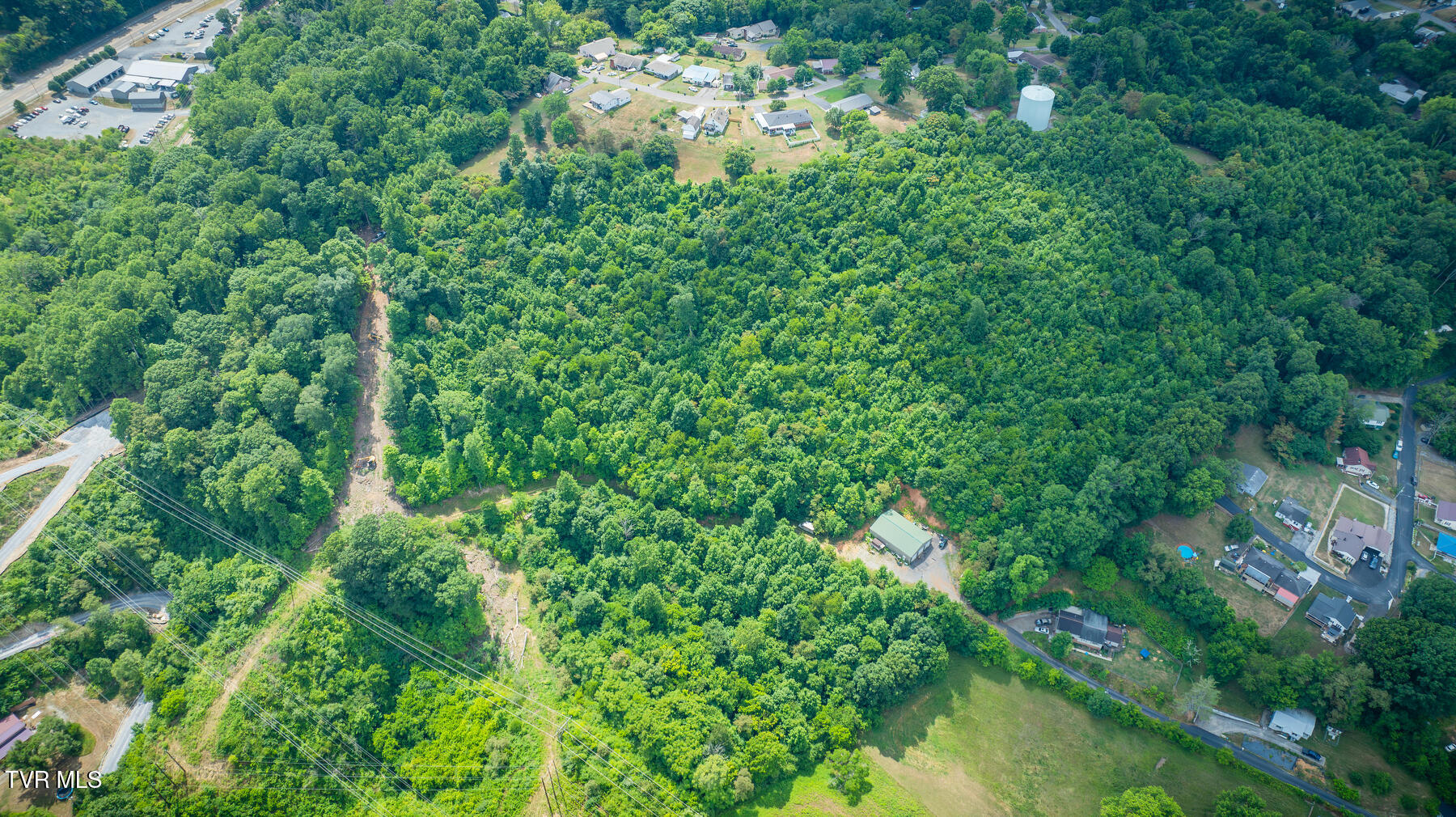 Kingsport