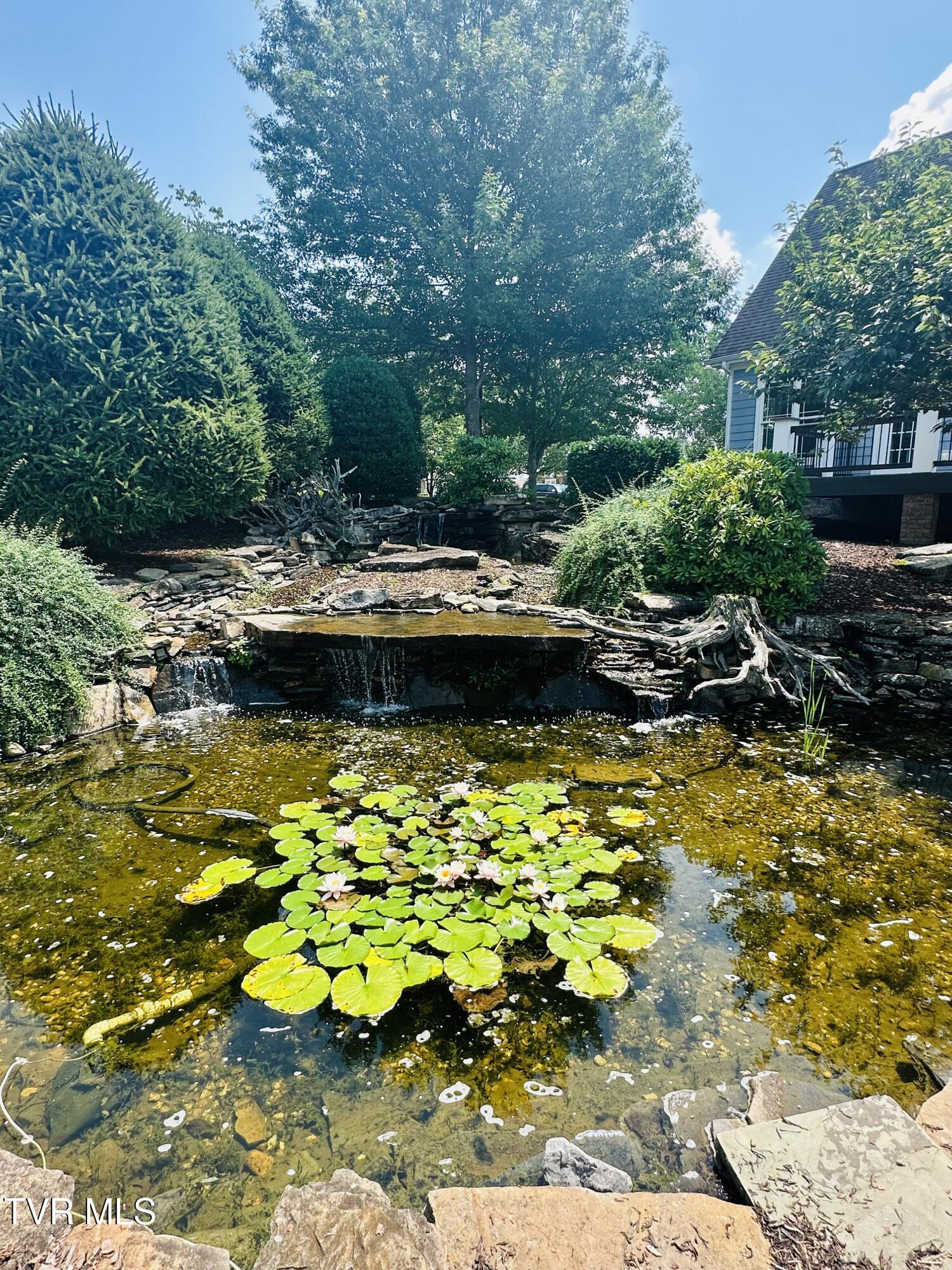 1107 Jasmine Place