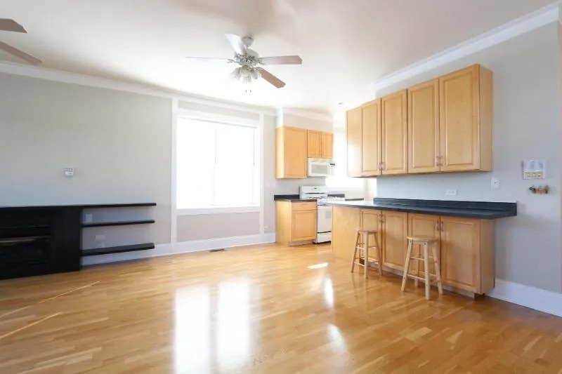 1616 S Morgan Street Unit: 3