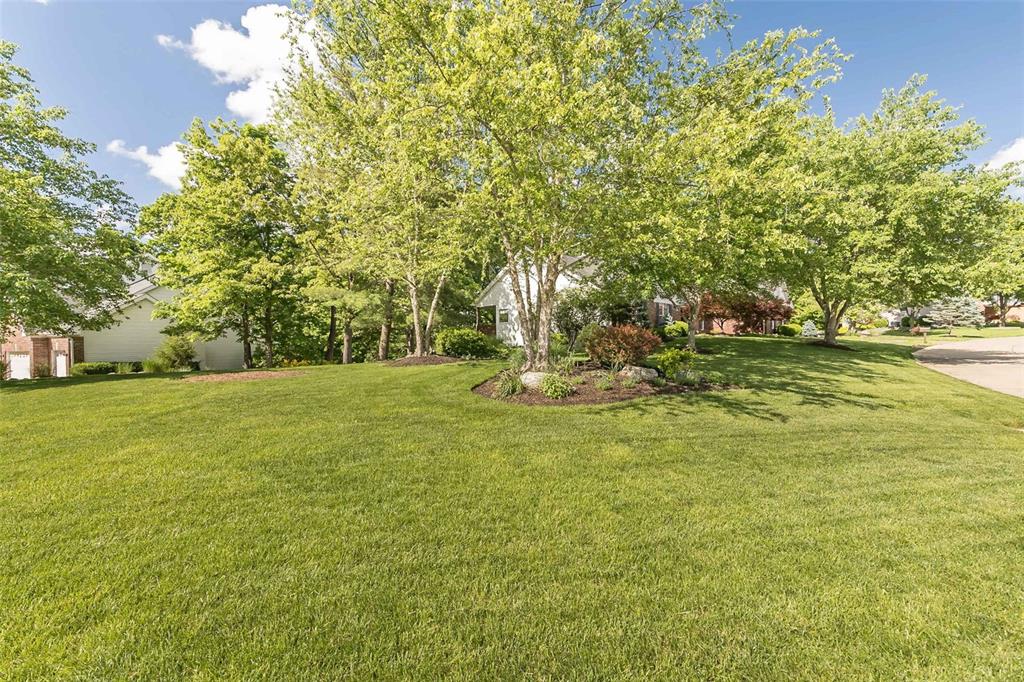 849 Timber Glen Lane