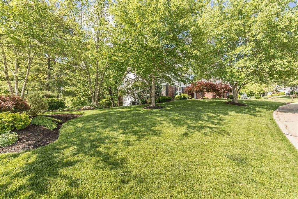 849 Timber Glen Lane