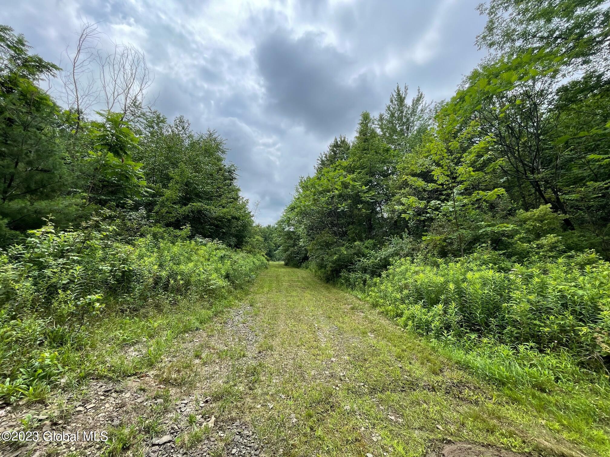 1563 1/2 Division Street