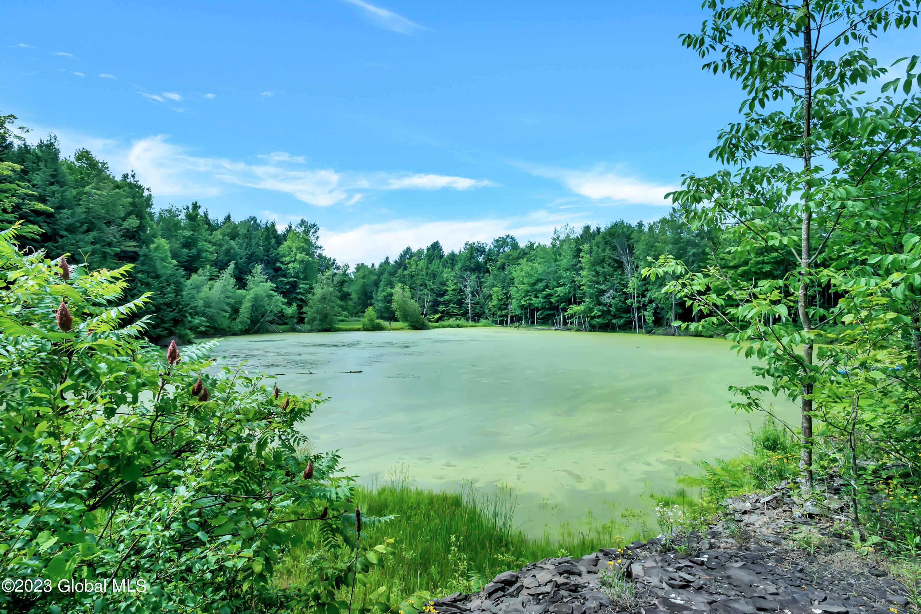 1563 1/2 Division Street