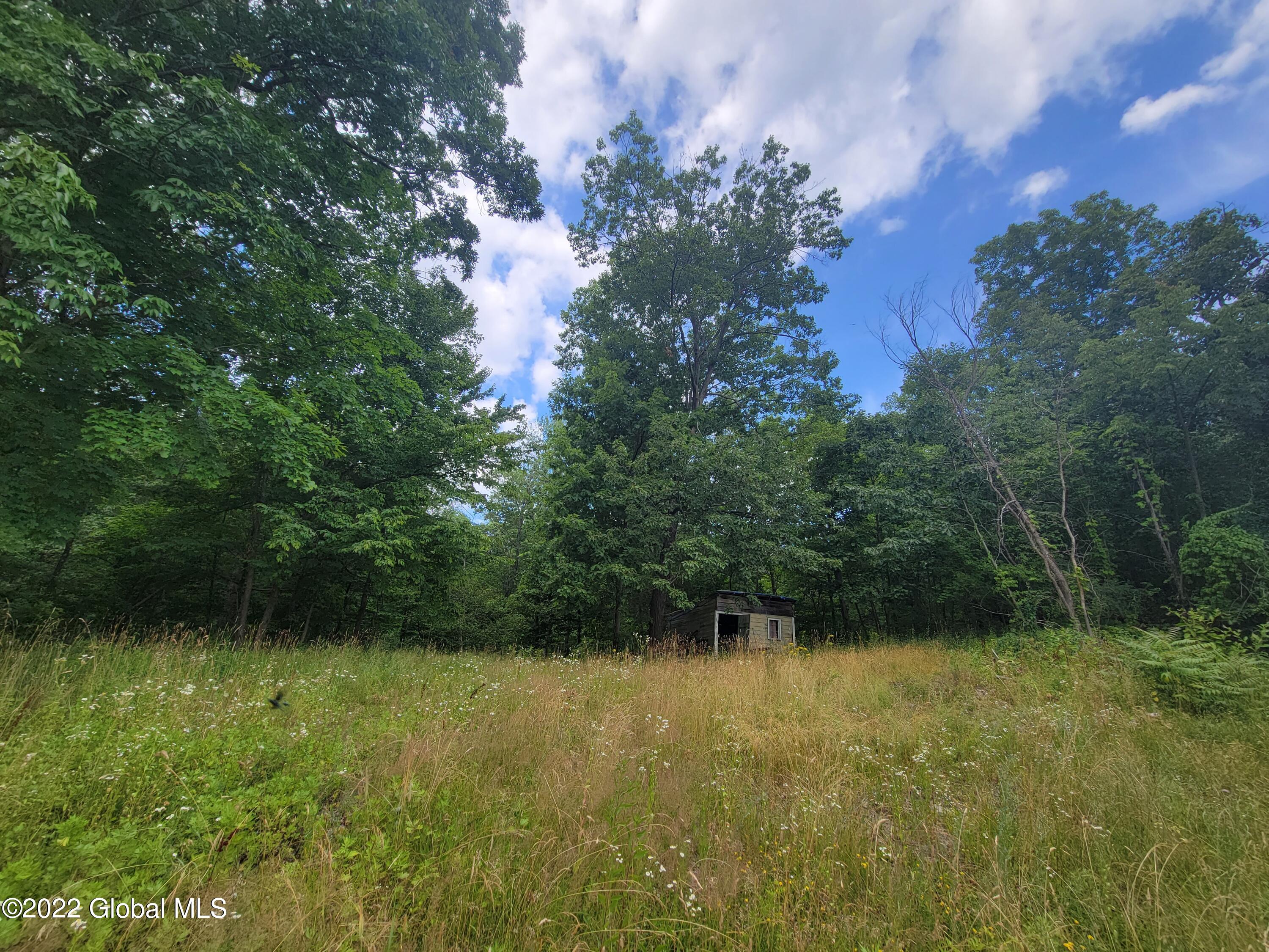 9071 Route 9W, Lot 1