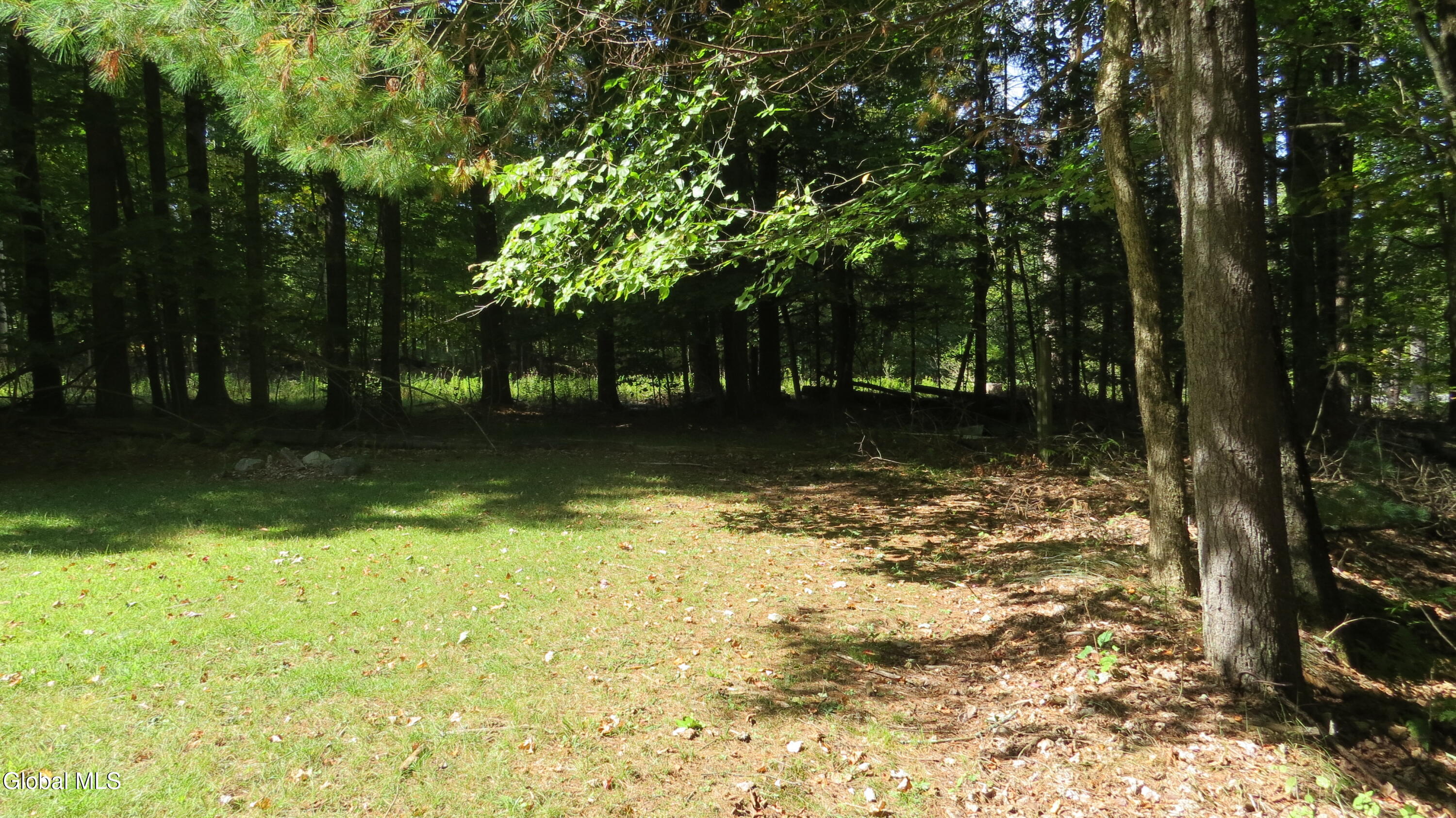 225 County Highway 109