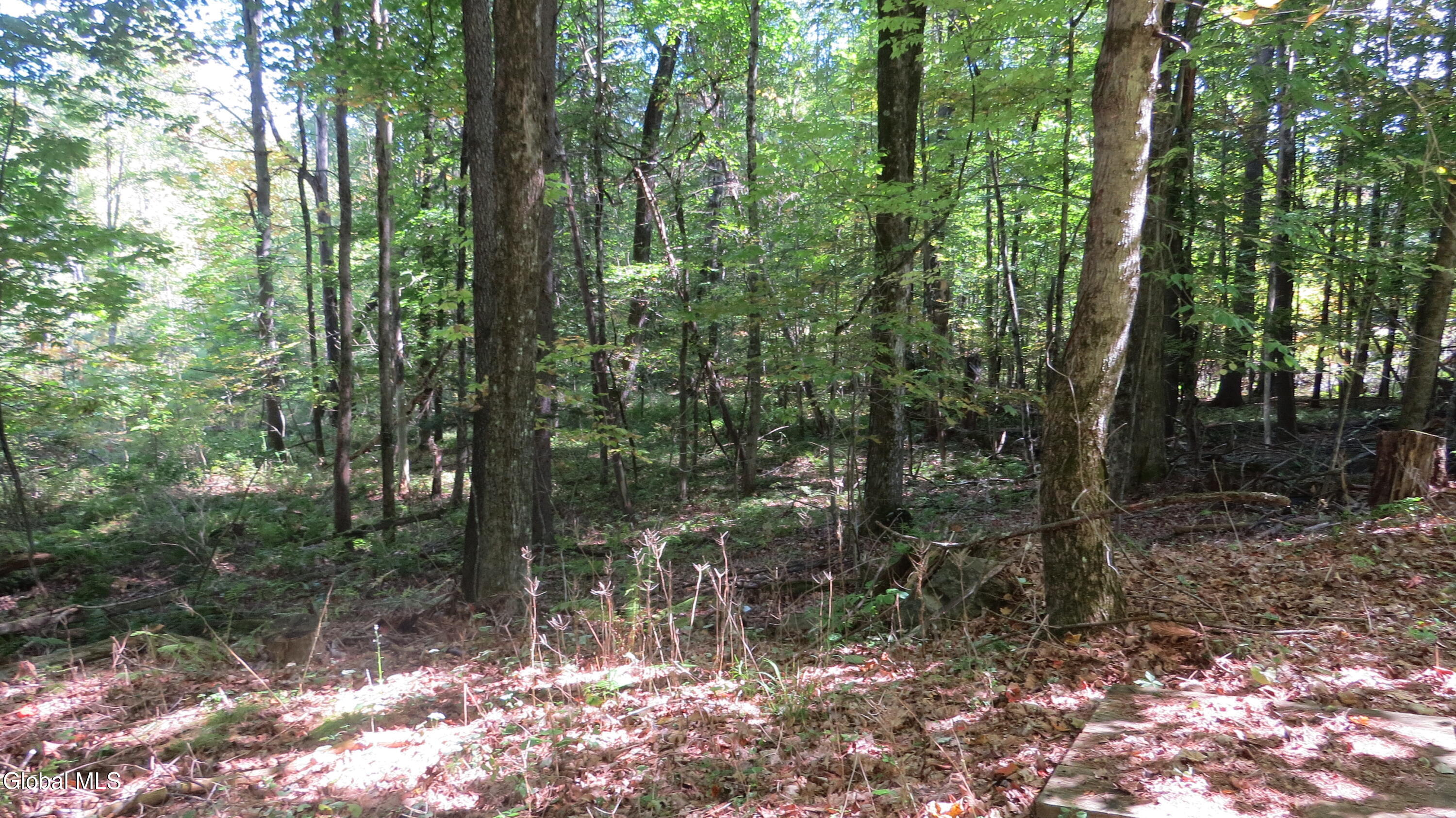 225 County Highway 109