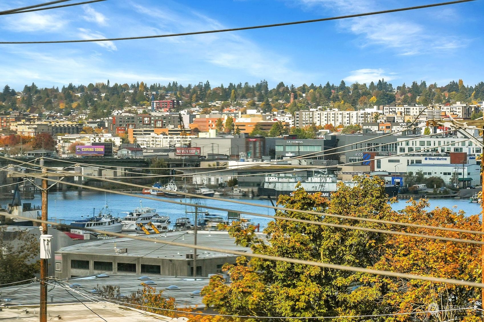 965 W Nickerson Street Unit: 43