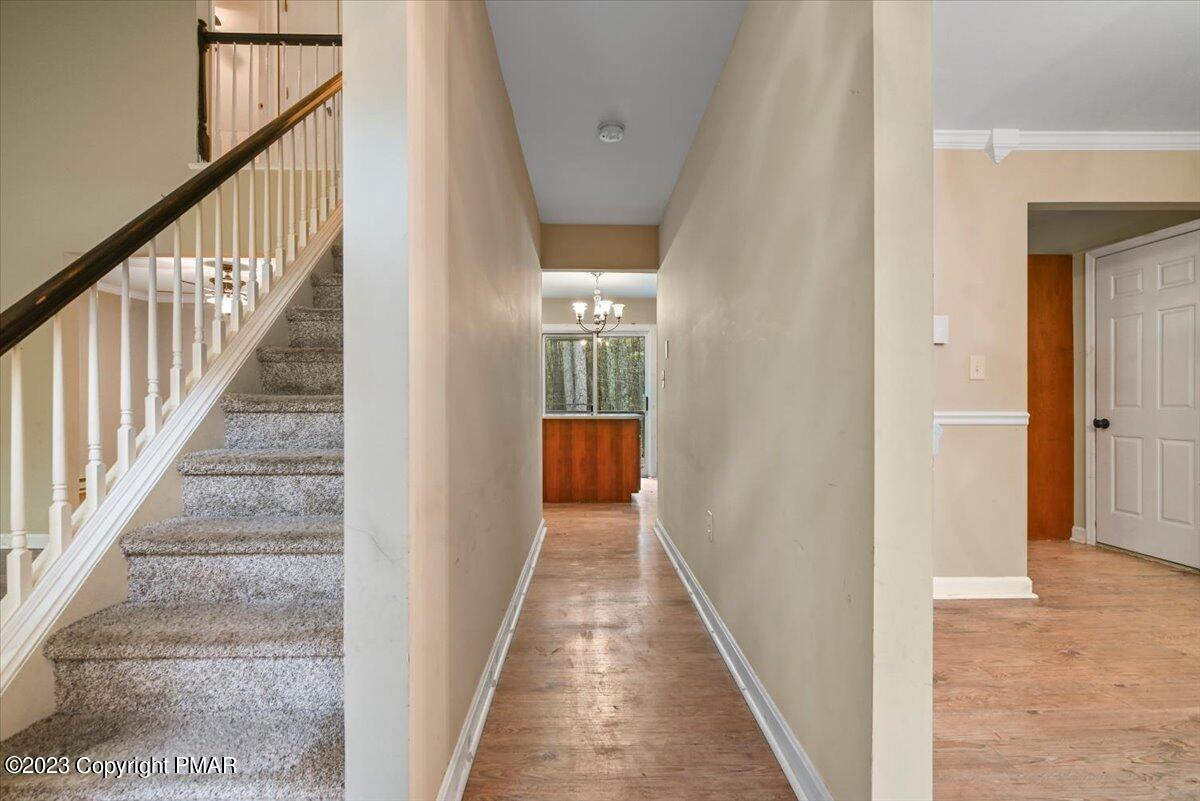 209 Dorchester Drive