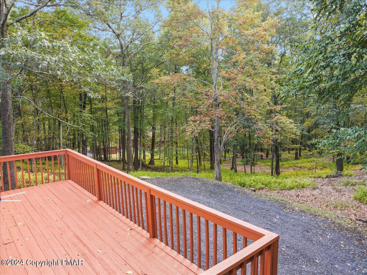 236 Dorchester Drive