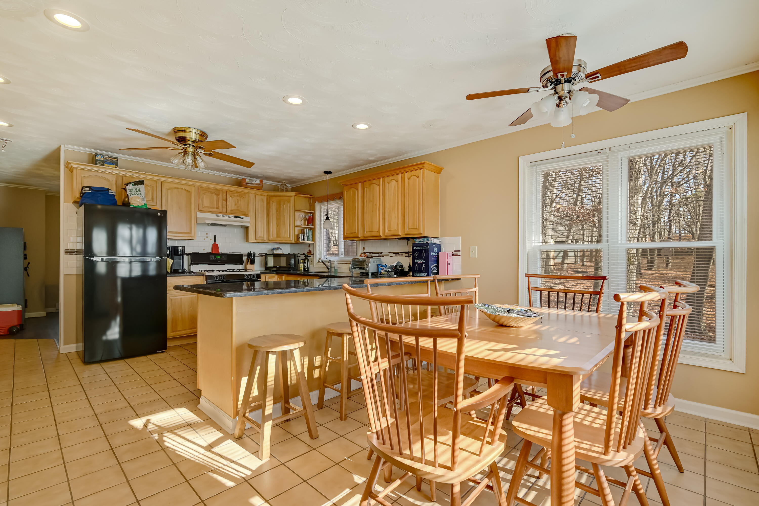 154 Elgin Way