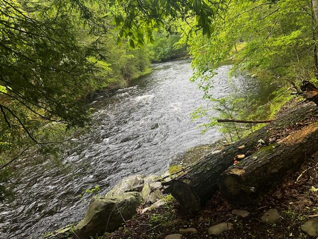 1088 Stony Creek Road