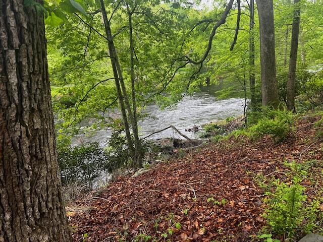 1088 Stony Creek Road