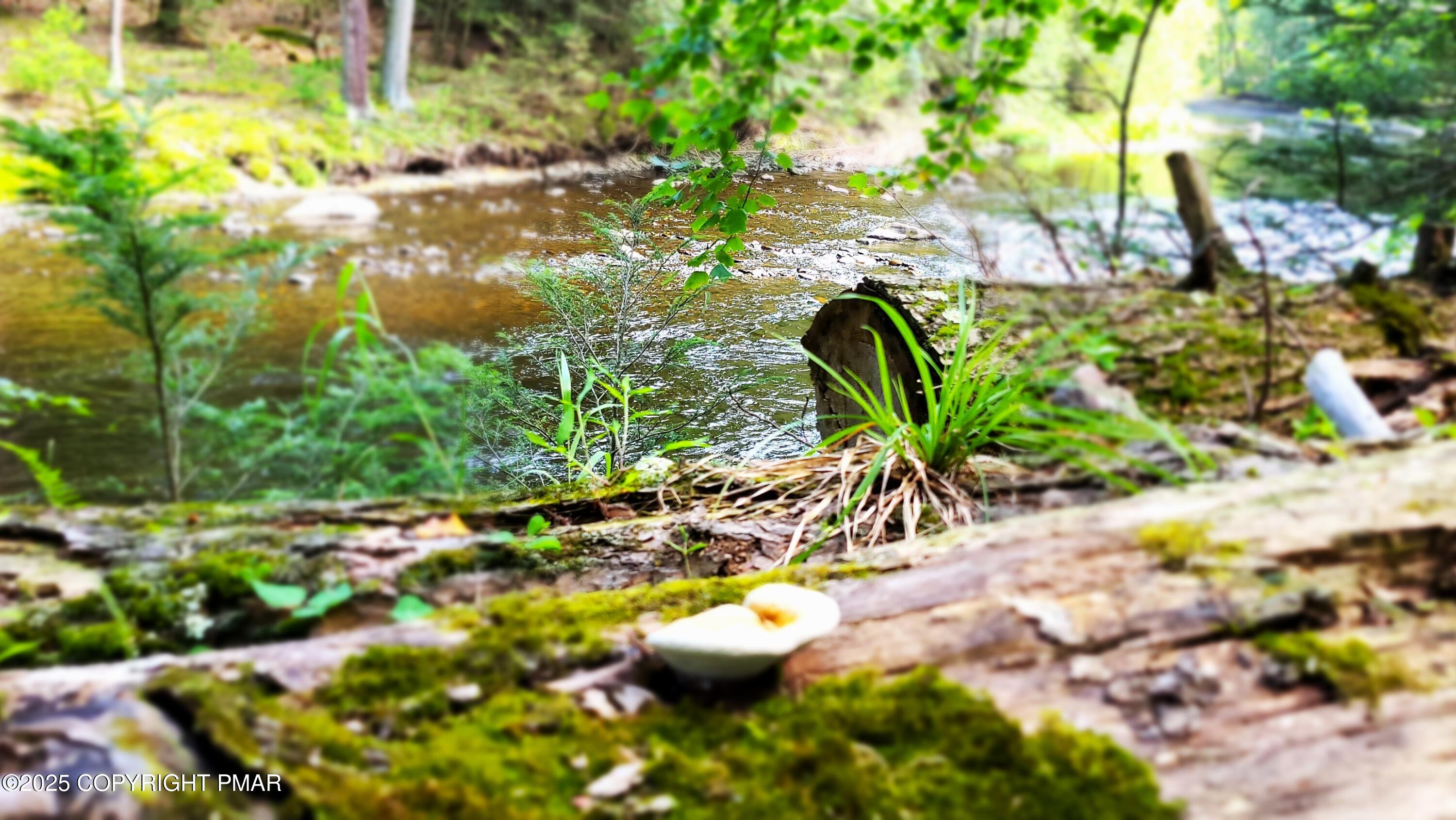 1088 Stony Creek Road