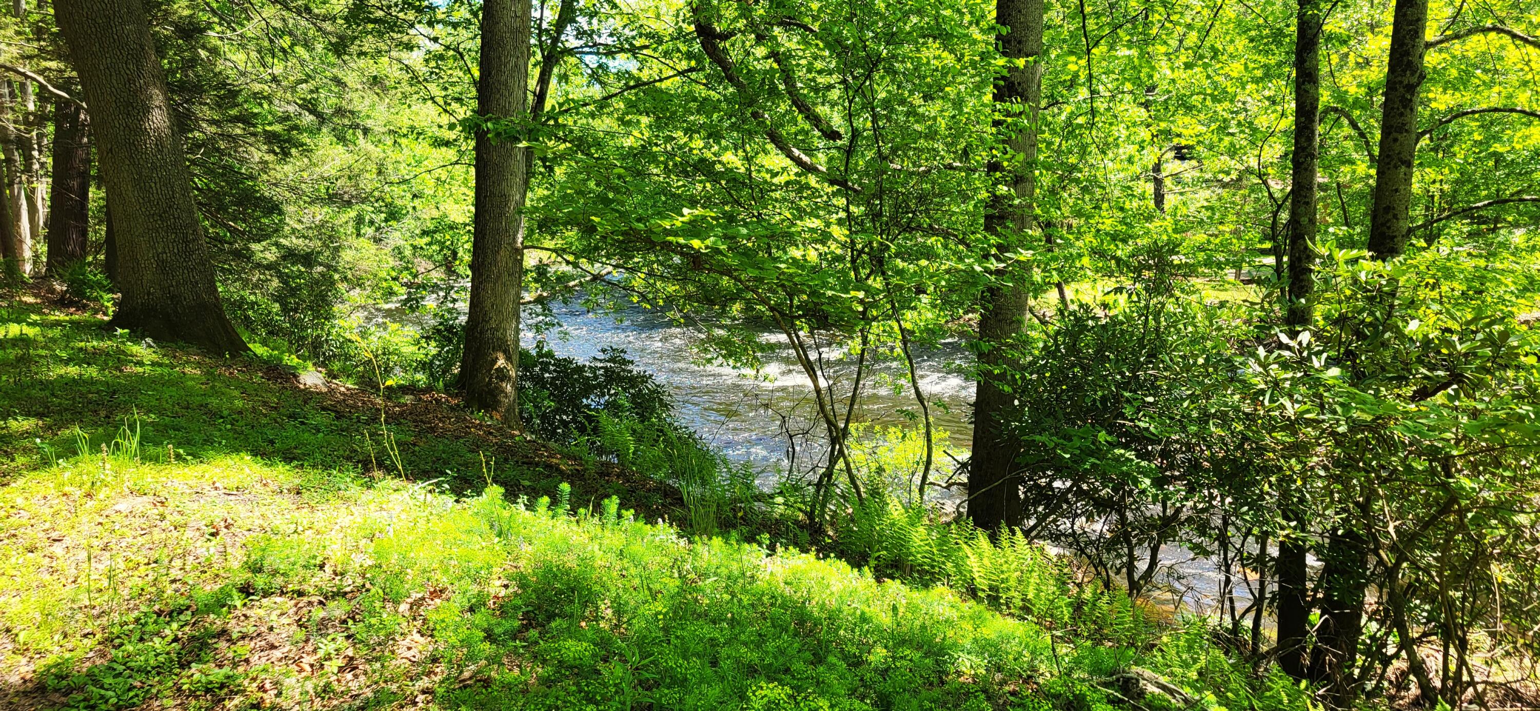 1088 Stony Creek Road