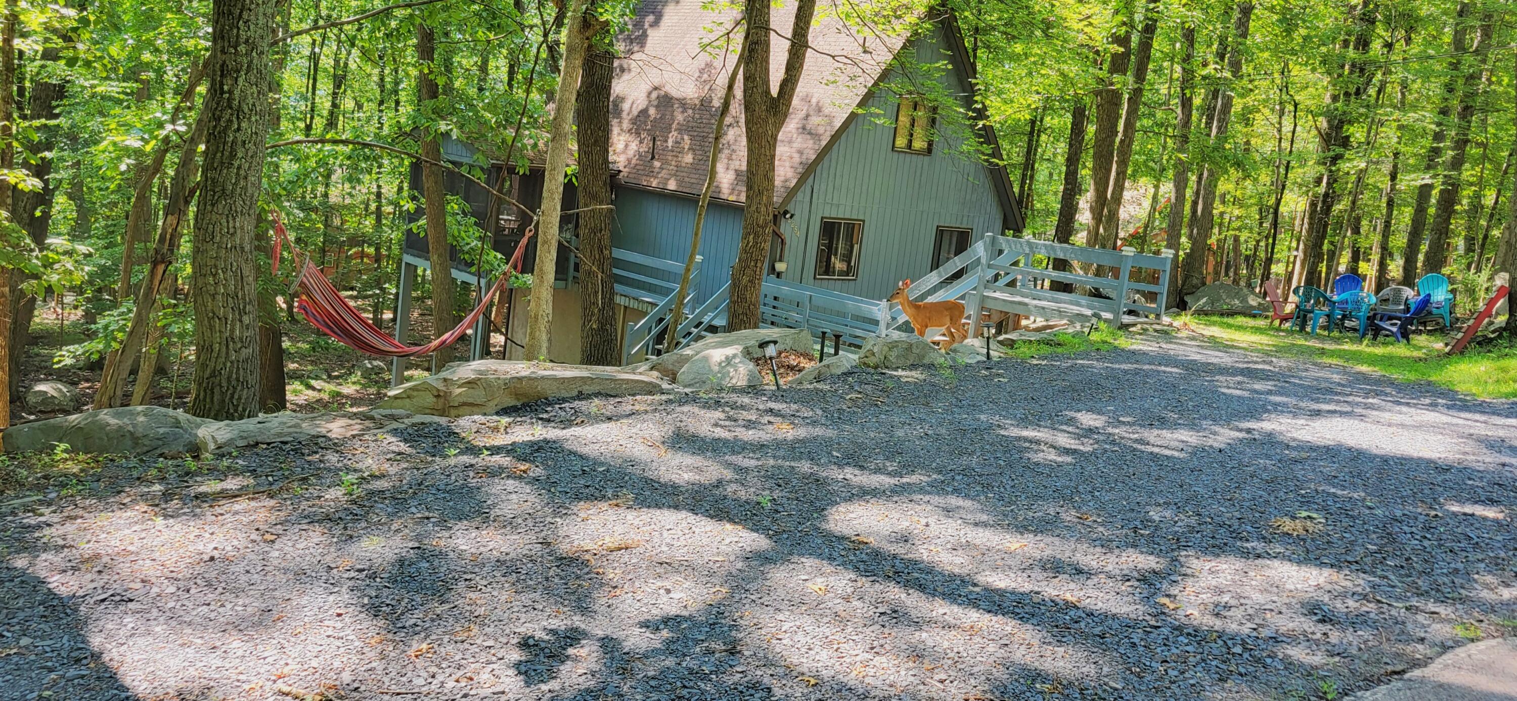 195 Bellingham Drive