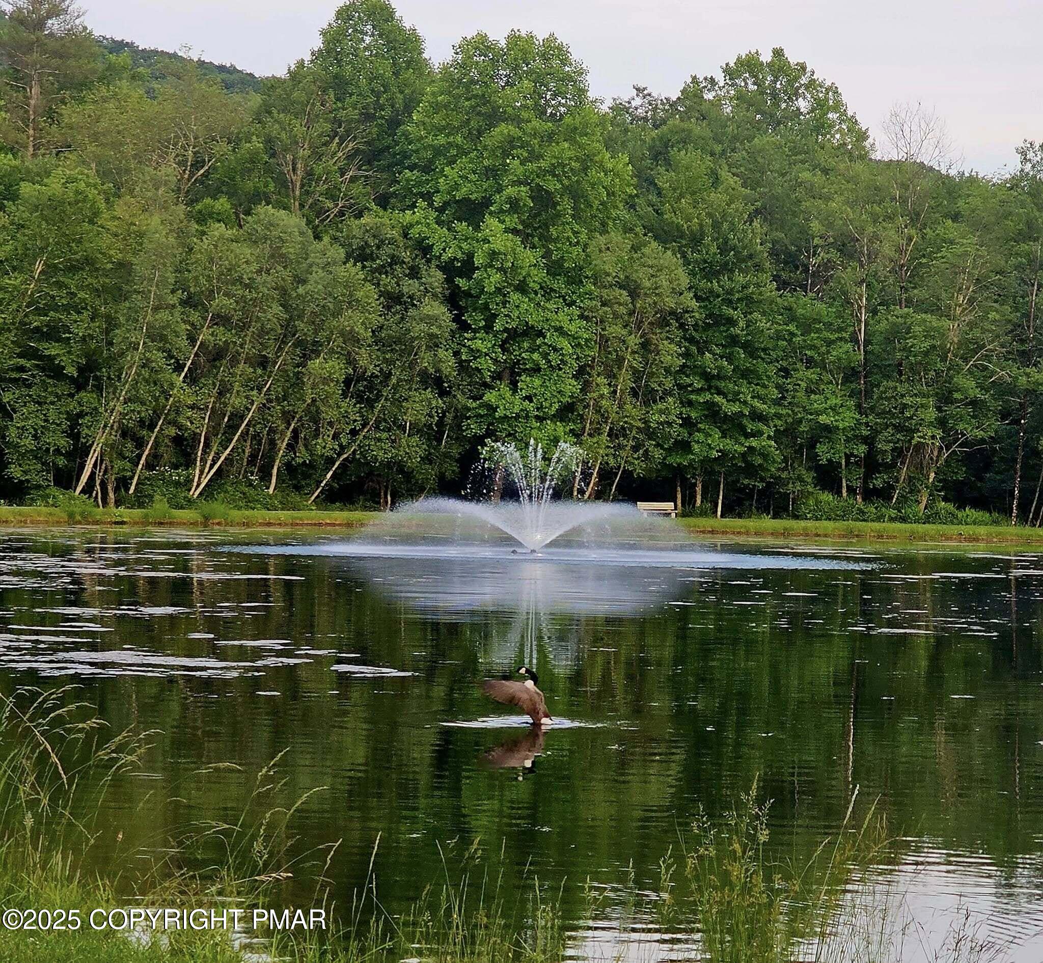 6116 Braintree Court