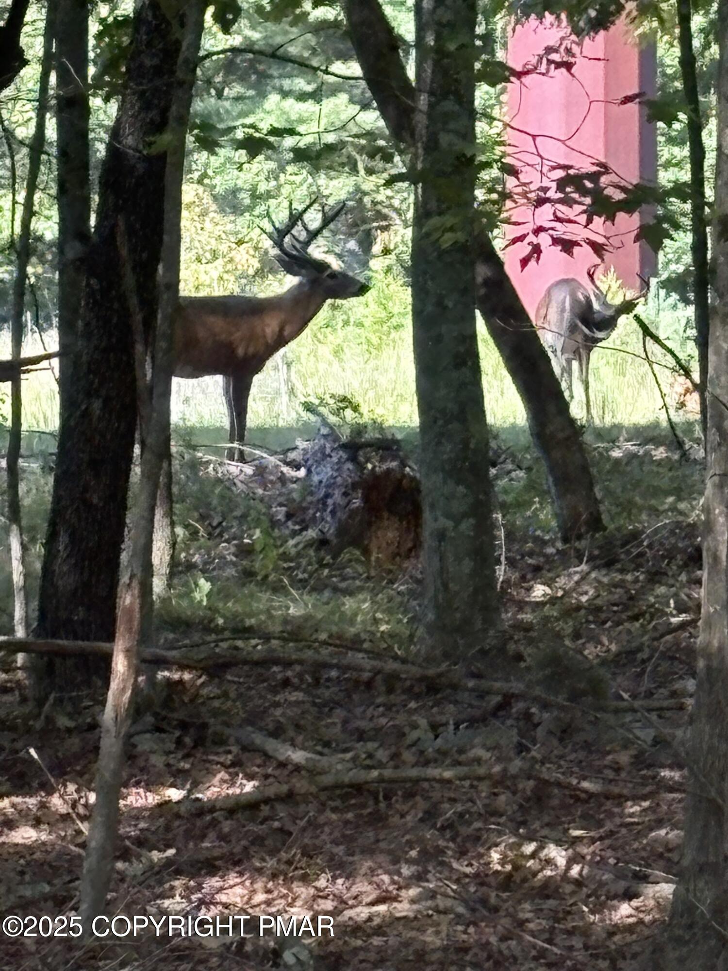 6116 Braintree Court